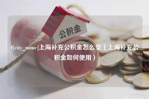 南宁上海补充公积金怎么交（上海补充公积金如何使用）